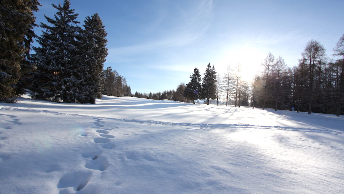 VAL VERT - 3950