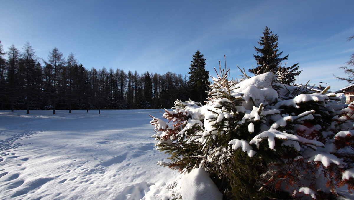 VAL VERT - 3952