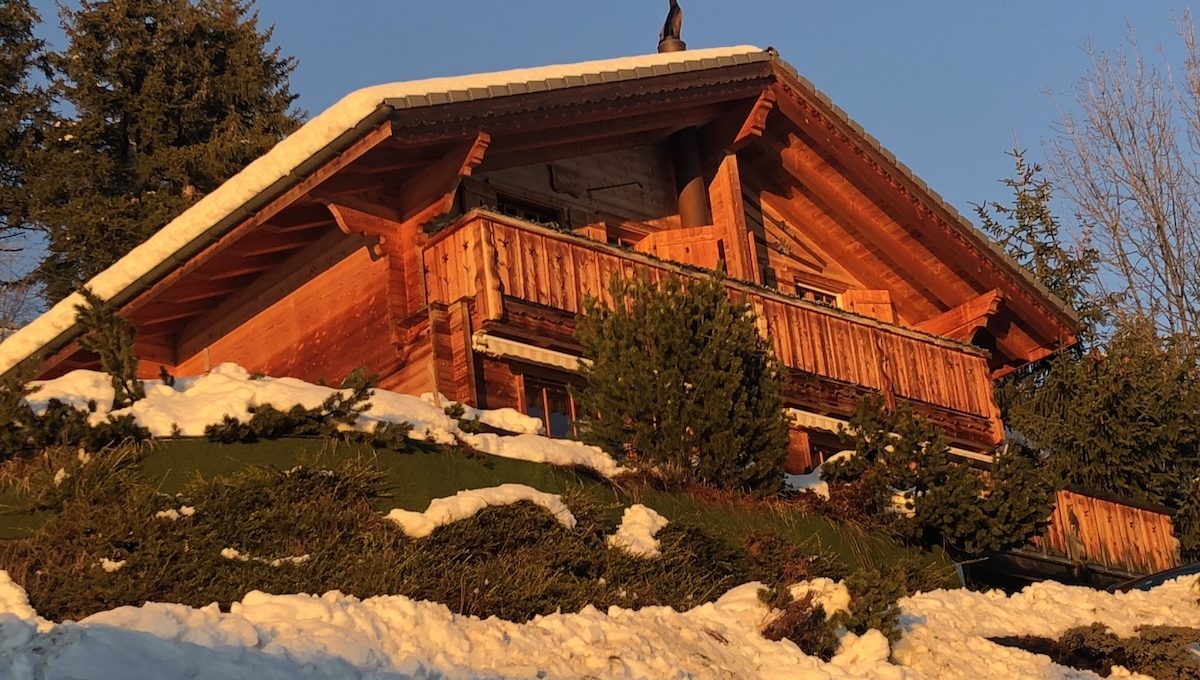 16. Chalet-exterior