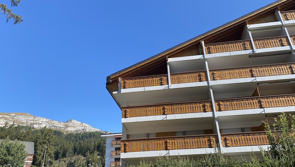 image00001 copie