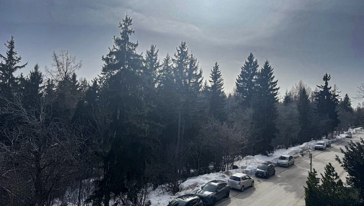 1-8c72ad05-09ed-42bf-9642-cc549c3ed401